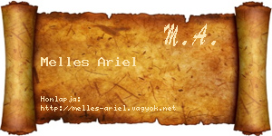 Melles Ariel névjegykártya